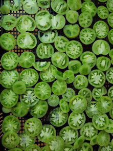(植物大战僵尸2破解版下载无限钻石电脑版)电脑版植物大战僵尸2破解版:尽享无限阳光和豌豆射手乐趣 (植物大战僵尸2破解版下载无限钻石电脑版)电脑版植物大战僵尸2破解版:尽享无限阳光和豌豆射手乐趣