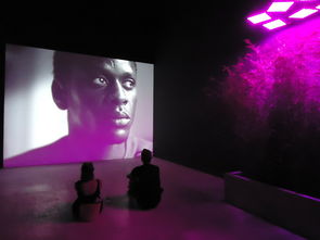 全民吃鸡大战无限技能版:挑战全新玩法,释放无限潜能,谁才是最强战士? 全民吃鸡大战无限技能版:挑战全新玩法,释放无限潜能,谁才是最强战士?