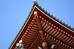 盛世大唐洗浴开发区店门票:带您走进唐朝,体验皇家洗浴文化的独特魅力和奇妙之旅 盛世大唐洗浴开发区店门票:带您走进唐朝,体验皇家洗浴文化的独特魅力和奇妙之旅