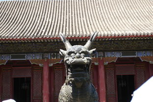 (芝士是什么口感)探寻芝士的口感魅力：从浓郁滑爽到醇厚浓郁，品味不尽的惊喜