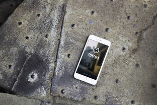 (英雄之证怎么获得)探寻英雄之冠的路线图:全面解读每条精彩线路 (英雄之证怎么获得)探寻英雄之冠的路线图:全面解读每条精彩线路