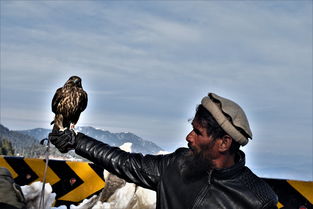 (代号降临和黎明觉醒)代号黎明：揭开未来科技与人类命运交汇的神秘序幕