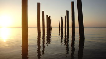 成都电脑城分部属于哪个区？了解成都电脑城分部所在区域及其特色。