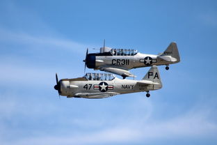 (漫漫江湖路的下一句)漫漫江湖路，纷纷恩怨仇，一路磕磕绊绊，谁能笑到最后？