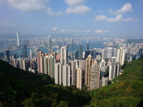 2024年香港正版资料大全|探寻城市中的隐秘美景_活动款.4.139 2024年香港正版资料大全|探寻城市中的隐秘美景_活动款.4.139