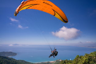 (死神激斗哪个人物最强)死神激斗目前最强三个出炉!谁能称霸!? (死神激斗哪个人物最强)死神激斗目前最强三个出炉!谁能称霸!?