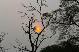 西游笔绘西行"公测上线时间公布：经典的西游记重新演绎，尽展游戏化视觉艺术风格