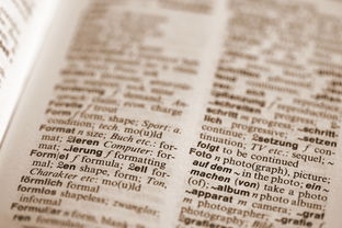 在餐厅萌物语游戏中遇到邀请码填写无效？可能原因及解决方案一览