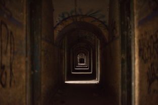 (yoga14s2021有独显版本吗)Yoga14s到底需不需要购买配备独立显卡的版本呢？