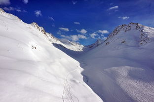 (coldsnow 冷雪)探秘神秘冰雪之地的极度深寒下,冷狐攻略必备技巧和心得分享 (coldsnow 冷雪)探秘神秘冰雪之地的极度深寒下,冷狐攻略必备技巧和心得分享