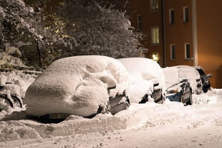 (coldsnow 冷雪)探秘神秘冰雪之地的极度深寒下,冷狐攻略必备技巧和心得分享 (coldsnow 冷雪)探秘神秘冰雪之地的极度深寒下,冷狐攻略必备技巧和心得分享
