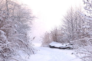 (单机碧雪情天最强装备)畅享冰雪浪漫行,感受碧雪情天单机版的无尽乐趣 (单机碧雪情天最强装备)畅享冰雪浪漫行,感受碧雪情天单机版的无尽乐趣