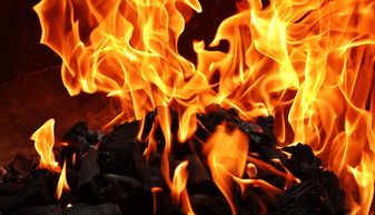 (白色相簿2麻理线好难受啊)白色相簿2攻略:深度解析麻理角色攻略与最佳结局获取策略 (白色相簿2麻理线好难受啊)白色相簿2攻略:深度解析麻理角色攻略与最佳结局获取策略