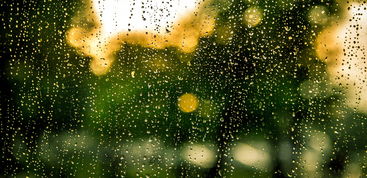 (忽闻雨掠蓬窗过)忽闻蓬莱有仙道是哪首诗?来探索中国古典文学中的神秘世界 (忽闻雨掠蓬窗过)忽闻蓬莱有仙道是哪首诗?来探索中国古典文学中的神秘世界