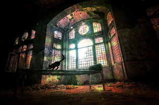 (176无双复古传奇官网)如何将复古无双风格升级至新高度：探索宝石的魅力