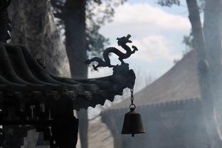 (hcg报告单是什么样的)HCG的报告单图片:了解你体内的妊娠激素水平以及相关健康信息 (hcg报告单是什么样的)HCG的报告单图片:了解你体内的妊娠激素水平以及相关健康信息