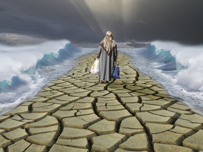 (dota2卡尔教学视频)Dota2卡尔教学: 学会如何掌握这位强力法师的技能和战术