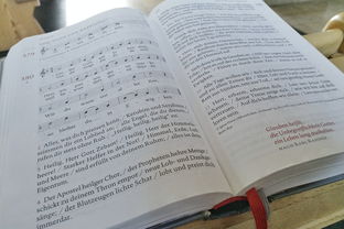 武林盟主记事：程潇舒长华盟主身世揭秘与独特武功传承