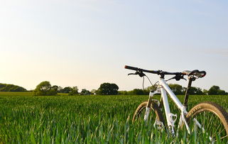 (欢乐农场之乡村度假)体验乡村生活乐趣:玩转欢乐农场日常游戏 (欢乐农场之乡村度假)体验乡村生活乐趣:玩转欢乐农场日常游戏