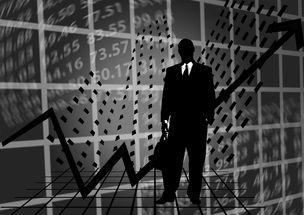 (我想看代号021)揭秘代号231:激情谍战片背后的秘密世界 (我想看代号021)揭秘代号231:激情谍战片背后的秘密世界