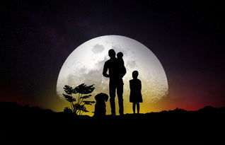 (未知星球x)探秘未知星球:全新弹射之星游戏体验,挑战冒险与策略的极限 (未知星球x)探秘未知星球:全新弹射之星游戏体验,挑战冒险与策略的极限