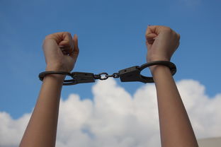 女人练流星拳的好处:提升自我防身能力,强身健体,增强体质,培养意志力。 女人练流星拳的好处:提升自我防身能力,强身健体,增强体质,培养意志力。