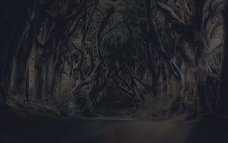 永恒之刃是把什么做的?探寻这款游戏背后的制作秘密和灵感来源 永恒之刃是把什么做的?探寻这款游戏背后的制作秘密和灵感来源