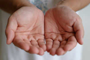 探索手相命运线的奥秘:如何通过手掌读懂你的人生轨迹与未来发展潜力 探索手相命运线的奥秘:如何通过手掌读懂你的人生轨迹与未来发展潜力