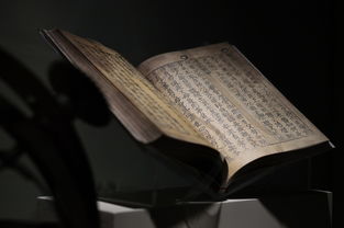 (神喻精粹)神喻的意思及其在文学与艺术中的运用方式详解 (神喻精粹)神喻的意思及其在文学与艺术中的运用方式详解
