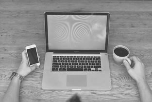 (不朽的英文翻译)探寻不朽之守护的英文魅力:文化、背景与语言的完美结合 (不朽的英文翻译)探寻不朽之守护的英文魅力:文化、背景与语言的完美结合