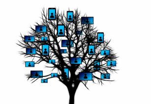 (甜味芝士)探秘甜芝士sweech品牌的百年历史和传承传奇故事 (甜味芝士)探秘甜芝士sweech品牌的百年历史和传承传奇故事