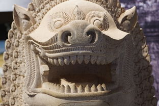 (寻龙传说 中国龙)寻龙传说:历史悠久的神秘传说与探寻中国古代神兽之谜 (寻龙传说 中国龙)寻龙传说:历史悠久的神秘传说与探寻中国古代神兽之谜
