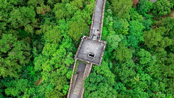 (重返洪荒(已完结))重返洪荒:天道2主宰资源反加版全新玩法探索 (重返洪荒(已完结))重返洪荒:天道2主宰资源反加版全新玩法探索