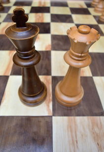 (中国象棋的游戏规则和玩法)揭秘中国象棋游戏的规则和技巧,让你成为象棋大师! (中国象棋的游戏规则和玩法)揭秘中国象棋游戏的规则和技巧,让你成为象棋大师!