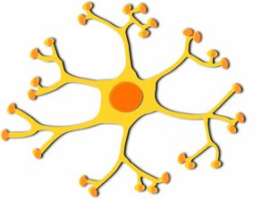 (细胞生物学相关的新技术)探索细胞奇点超越E27的前沿科技：未来生物学的新篇章