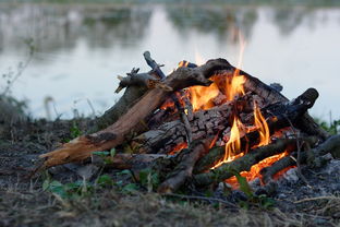 (次元大乱斗手游)探索大乱斗学园次元世界:超越想象的奇幻冒险之旅 (次元大乱斗手游)探索大乱斗学园次元世界:超越想象的奇幻冒险之旅