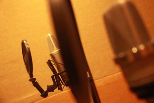 (live love学园偶像祭)探寻lovelives学园偶像祭2的魅力与深度 (live love学园偶像祭)探寻lovelives学园偶像祭2的魅力与深度