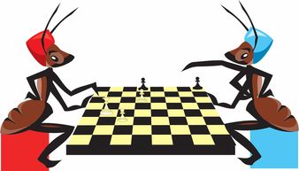 阴阳师智走棋在哪玩?想知道最新玩法和攻略?来了解这款游戏的玩法和精髓吧! 阴阳师智走棋在哪玩?想知道最新玩法和攻略?来了解这款游戏的玩法和精髓吧!