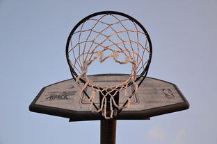 深度解析NBA篮球经理的选拔、培养机制及其影响因素:重塑篮球赛场上的智慧背后 深度解析NBA篮球经理的选拔、培养机制及其影响因素:重塑篮球赛场上的智慧背后