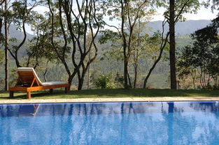 (合合庄园无限钻石)探寻庄园合合泳池小屋,让您畅游乐园的攻略指南 (合合庄园无限钻石)探寻庄园合合泳池小屋,让您畅游乐园的攻略指南