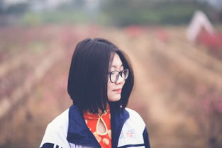 (国王与冒险家合成表)国王与冒险家全解锁攻略:轻松获取全部角色与资源的终极指南 (国王与冒险家合成表)国王与冒险家全解锁攻略:轻松获取全部角色与资源的终极指南