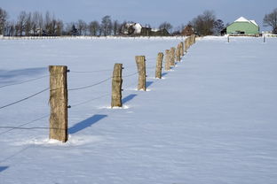 (上海耀雪农业科技有限公司)探寻上海耀雪冰雪世界的魅力之旅主页 (上海耀雪农业科技有限公司)探寻上海耀雪冰雪世界的魅力之旅主页