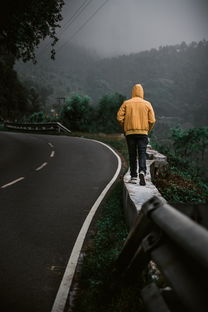 (如梦下半场)探究“如梦下弦月”被下架的原因及其对读者的影响分析 (如梦下半场)探究“如梦下弦月”被下架的原因及其对读者的影响分析
