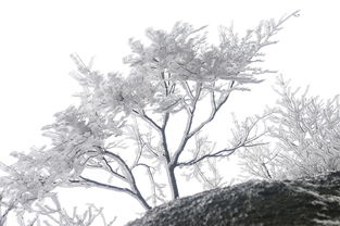 (烟雨西湖歌词全部)烟雨西湖歌曲:一首讴歌江南风情,唤起无尽惆怅与思念 (烟雨西湖歌词全部)烟雨西湖歌曲:一首讴歌江南风情,唤起无尽惆怅与思念