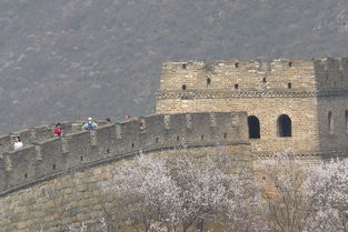 (逐鹿中原是什么朝代)逐鹿中原指什么地方?解读中国历史上的重要战略区域 (逐鹿中原是什么朝代)逐鹿中原指什么地方?解读中国历史上的重要战略区域