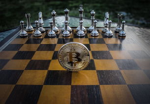 以游戏策略为核心，解析明日守望者护盾专研加什么，探讨提升战斗力的关键因素