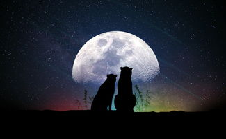 (奇妙探索)探寻妙奇星球的官方立绘图片福利 (奇妙探索)探寻妙奇星球的官方立绘图片福利