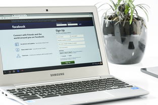 (惠普笔记本电脑怎么开启)新手指南:详细步骤教你如何正确开启你的惠普手提电脑 (惠普笔记本电脑怎么开启)新手指南:详细步骤教你如何正确开启你的惠普手提电脑