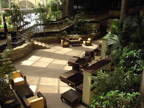 (河北宾馆安悦酒店几星级酒店)河北宾馆安悦酒店：享受优雅奢华的住宿体验