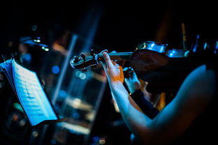 (《堡垒之夜》官方下载器)堡垒之夜官方正版安卓介绍:全球最受欢迎的沙盒生存游戏 (《堡垒之夜》官方下载器)堡垒之夜官方正版安卓介绍:全球最受欢迎的沙盒生存游戏